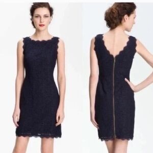 Eyelash Lace Adrianna Papell Dress